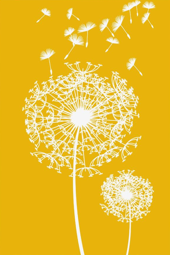 pampelisky zlute.png